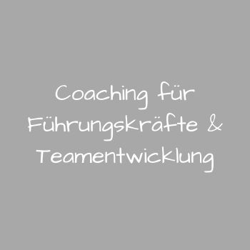 coaching.teamentwicklung.lottini
